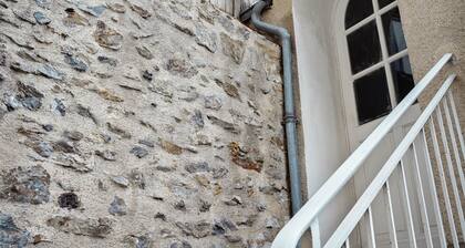 LE WOODY - 700m Gare - Wifi