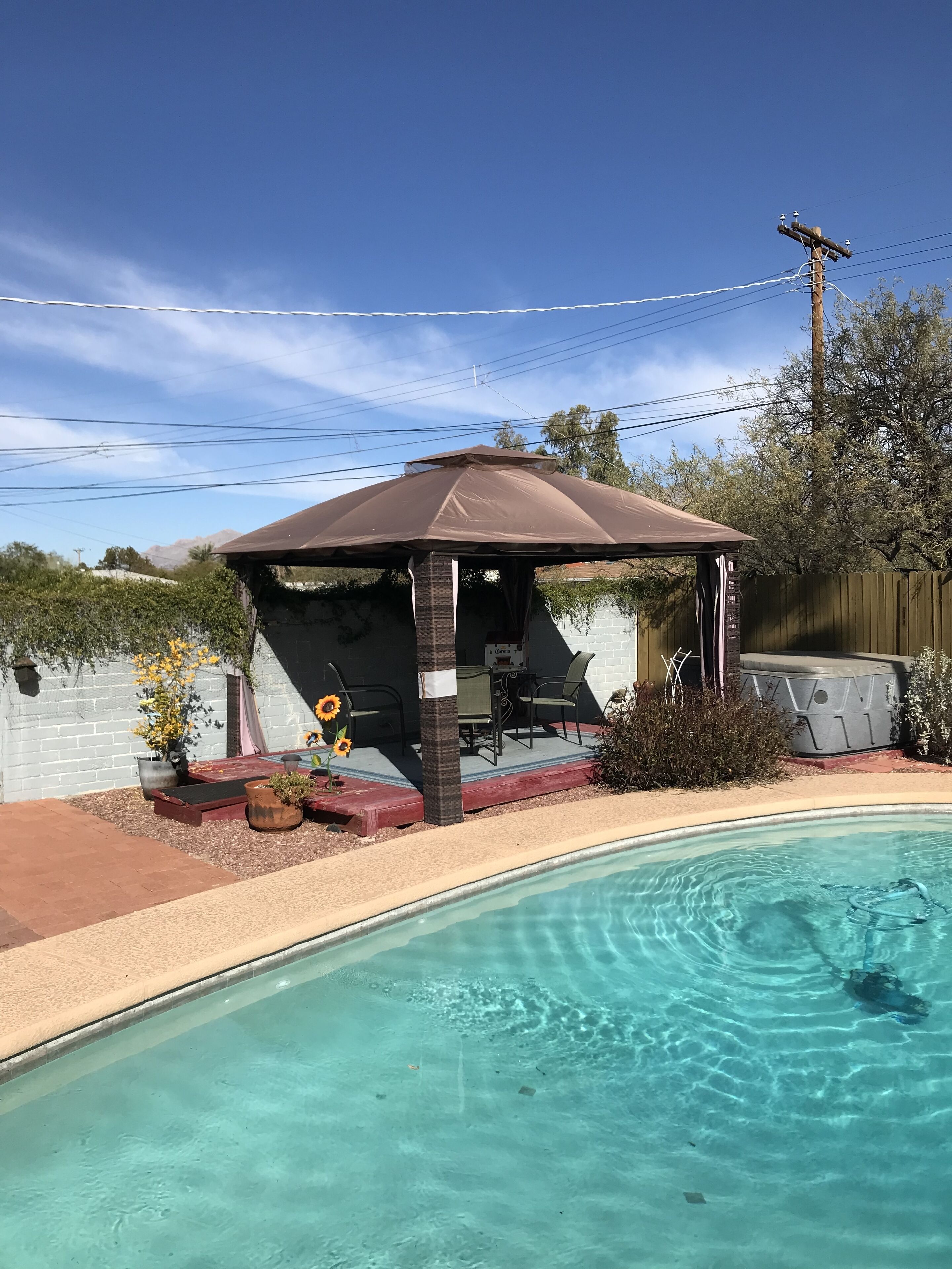 A backyard with a swimming pool, a covered patio area, and a barbecue grill.