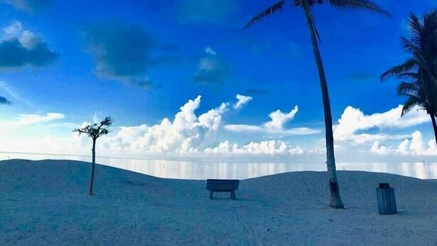 A beach scene with a bench and palm trees under a clear blue sky. - Canal-Front Oasis with Pool & Dock (Marathon)