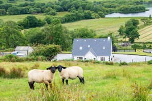 Paisaje rural con una casa blanca, un estanque y dos ovejas en primer plano.