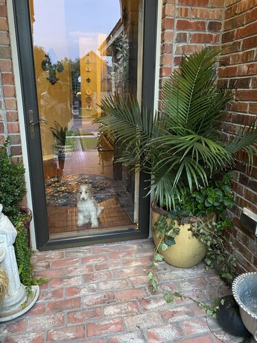 Cozy urban room! Perfect for interns, students nurses and single lady travelers.