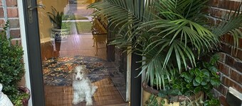 Cozy urban room! Perfect for interns, students nurses and single lady travelers.