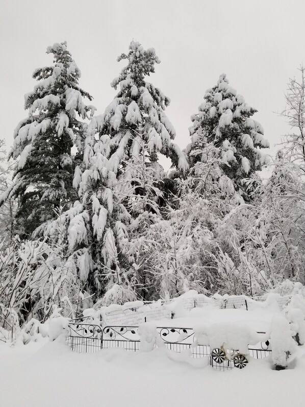 Property grounds - Cottage in Barnard (Barnard)