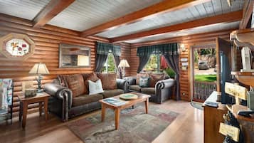 Télévision, cheminée