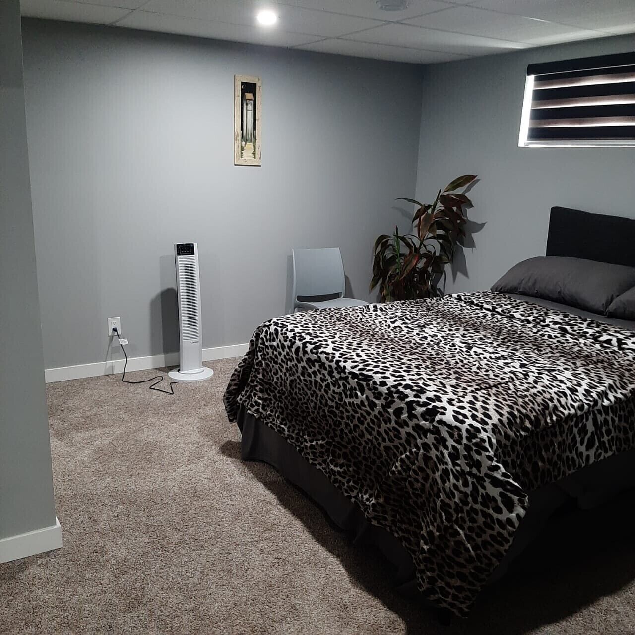 2 camere, ferro/asse da stiro, Wi-Fi gratuito, lenzuola