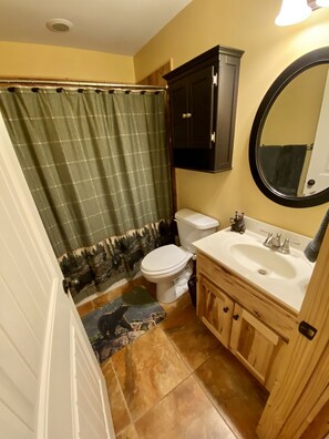 A bathroom with a toilet, sink, and mirror. - Riverfront Mtn Retreat Hot Tub/Fireplaces/King Beds/Tubing/Fishing/Spacious (Ellijay)