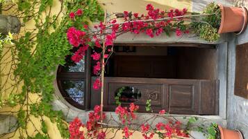 DĂ©tail de lâextĂ©rieur