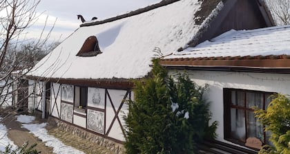 Vacation Unterm Storchennest in Ostseeland Rerik - 3-room vacation home (80m²; max. 6 persons)