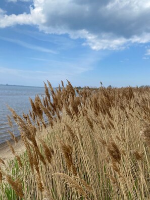 Unclassified image, 3 of 58, button