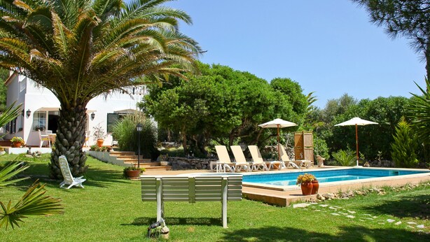 Piscina con sillones de descanso y sombrillas, rodeada de follaje y una palmera.