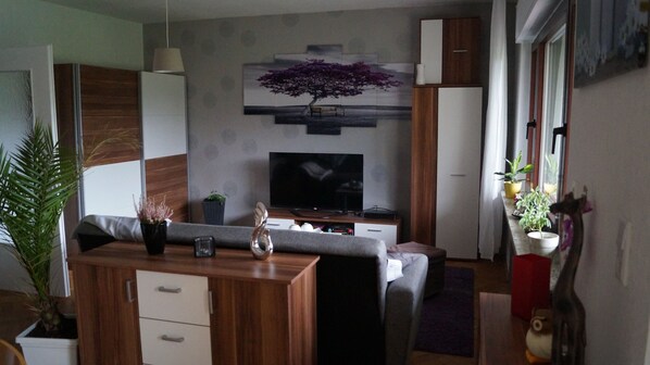 Smart-TV, Kamin