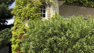 Terrein van de accommodatie