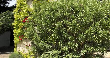 Villa ravissante avec grande piscine dans un domaine idyllique dans la DrĂŽme