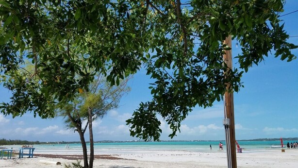 A beach with white sand, a few trees, and a clear blue sky. - Tranquil Villa near Long Bay Beach, Pool & Sunsets (Long Bay Hills)