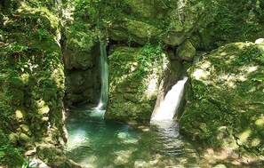 منوع