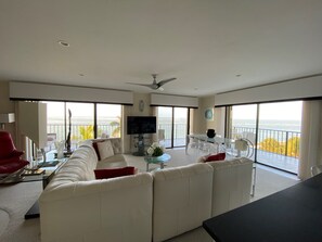 Älytelevisio, pöytätennispöytä, kirjoja, stereot