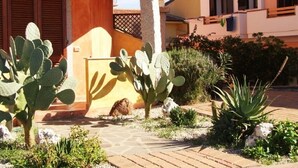 Een binnenplaats met cactussen en een pad dat naar een gebouw met een gele gevel en een houten deur leidt.