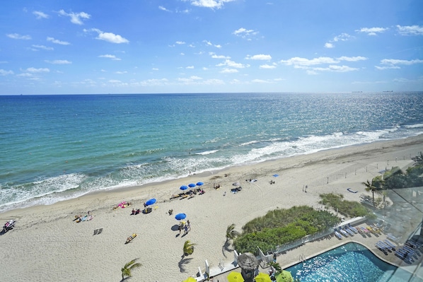 An aerial view of a beach with a swimming pool, umbrellas, and lounge chairs.