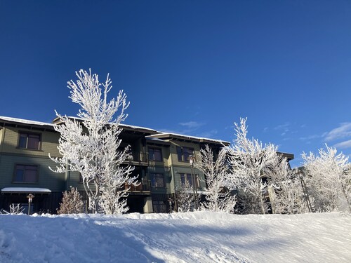 Spacious Ski in / Ski out condo at the Base of Red Mountain!