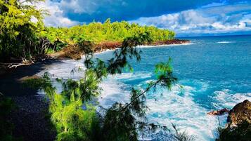 Plage, chaises longues, serviettes de plage