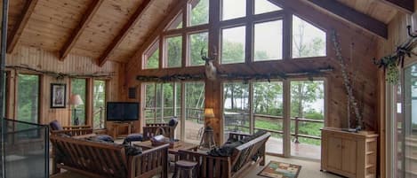 Smart TV, chimenea, reproductor de DVD y videoteca