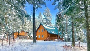 A wooden cabin with a green roof surrounded by snow-covered trees. - Mountain Pines Luxury Yellowstone Cabin + Hot Tub + Sleeps 15 + Garage + 2 Acres (Island Park)