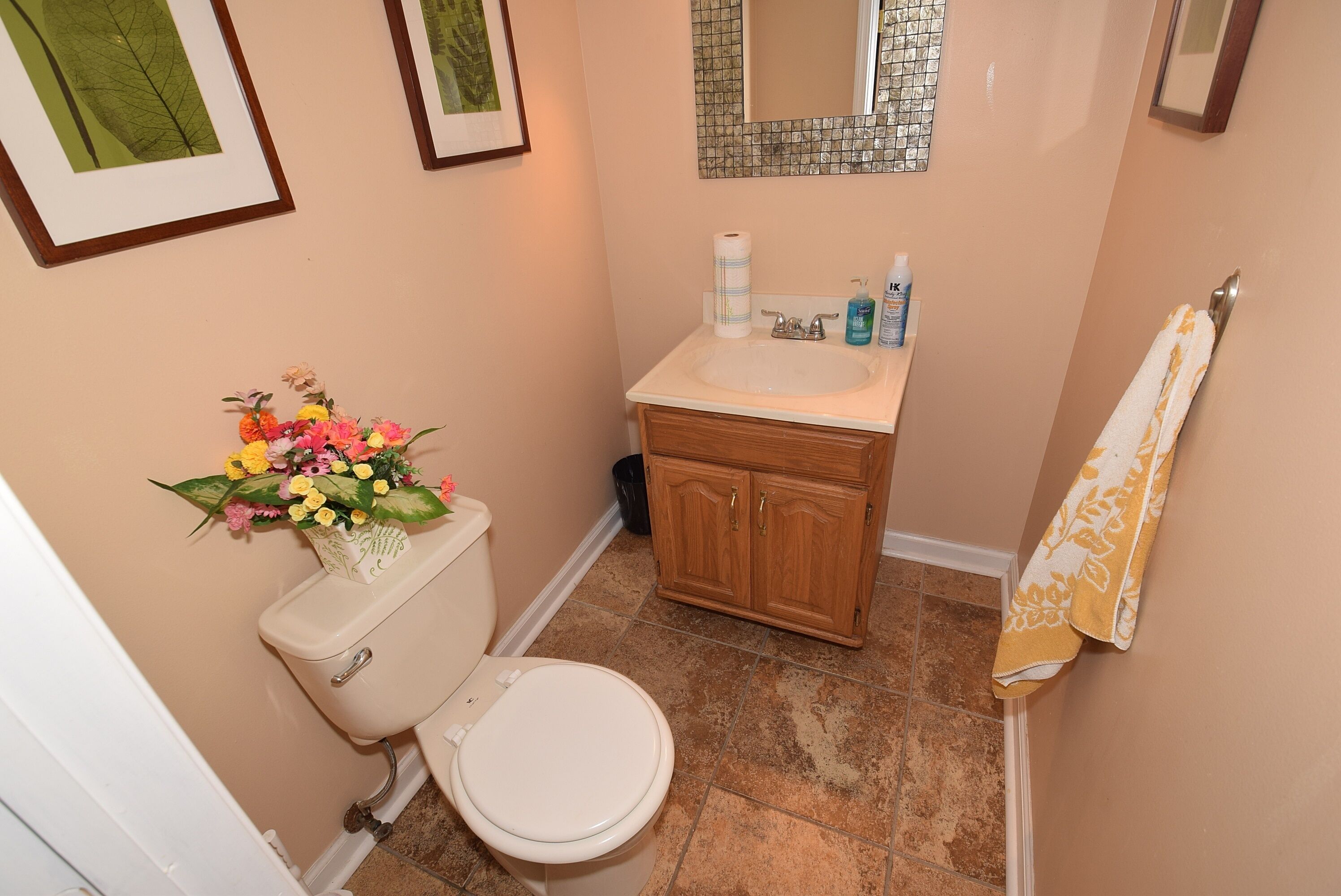 Streamfront Elegance And Natural Beauty