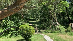 A stone pathway through a lush garden with dense foliage and a wooden fence.