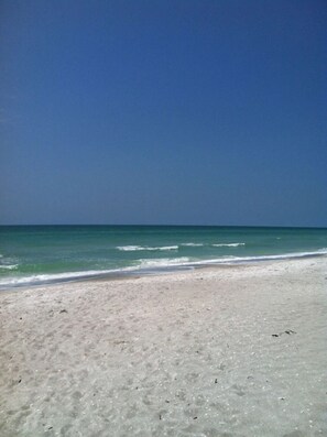 On the beach - Beautiful Longboat Key, Florida - Little Gull Resort (Longboat Key)