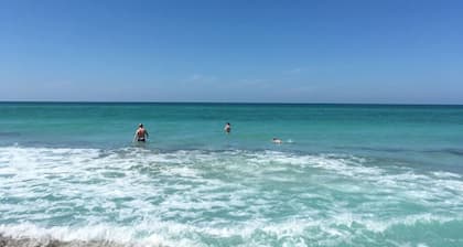 Beautiful Longboat Key, Florida - Little Gull Resort