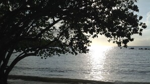 A beach scene with a tree in the foreground and the sun reflecting on the water. - Beachfront family friendly garden condo, full A/C, WiFi, sleeps 6, Smart TV's (Cabo Rojo)