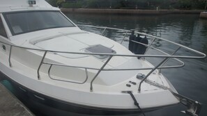 Miscellaneous - 36-foot speedboat for private tours, accommodating up to 12 passengers. (Angra dos Reis)