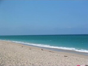 A beach with a clear sky and calm sea. - Heart of NPB: Your Perfect Home Away from Home! (North Palm Beach)