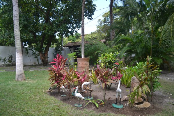 Área da propriedade