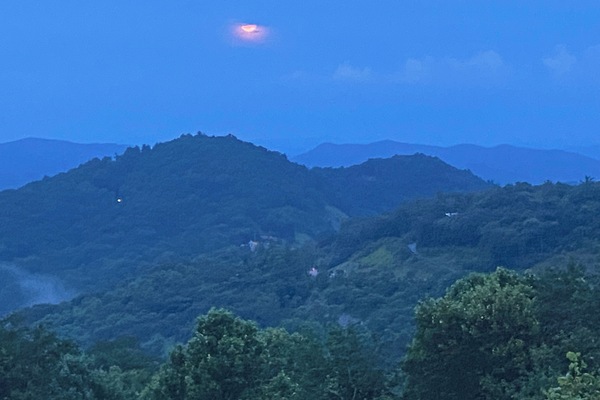 Views from the deck