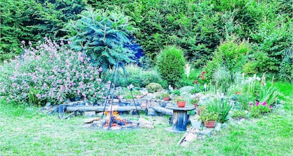 1 bedroom awesome home in Wejherowo