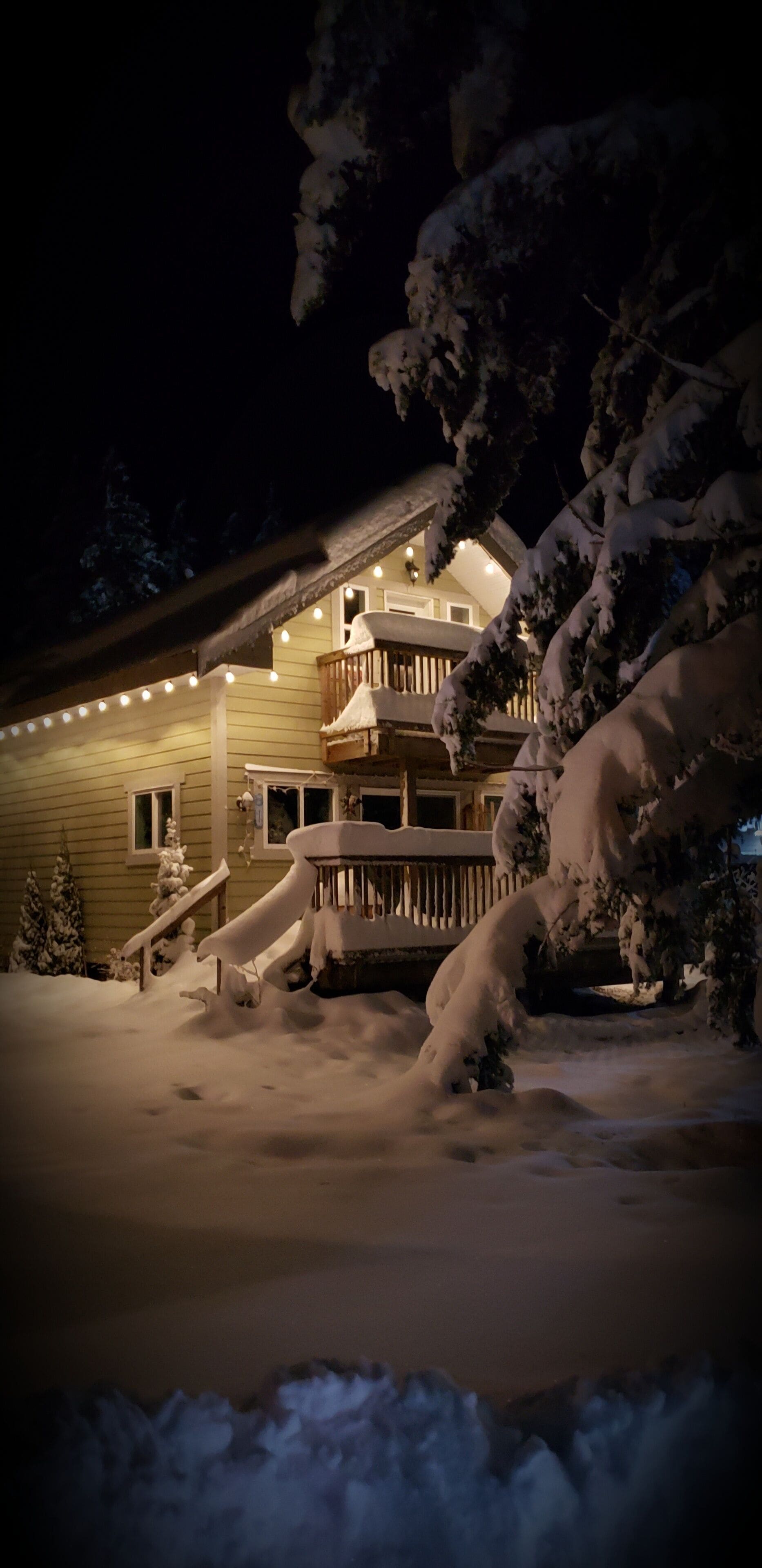 Tall Trees 🌳 A cozy cabin retreat in the woods.