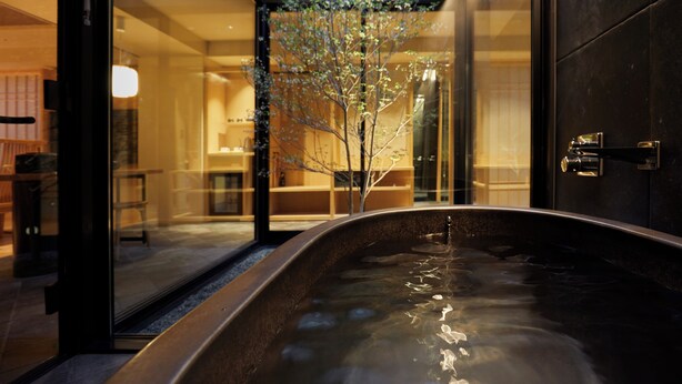 Une salle de bain moderne avec une grande baignoire, une douche à l’italienne en verre et une plante d’intérieur bien visible.