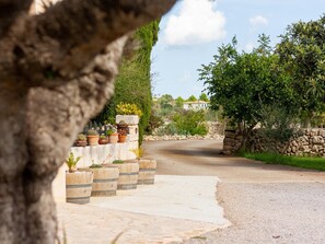 Jardines del alojamiento