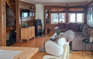 TV, fireplace, DVD player