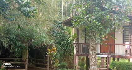 Family Villa is a hut Style Accommodation
