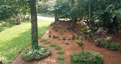 Family Villa is a hut Style Accommodation