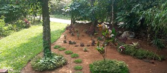 Family Villa is a hut Style Accommodation