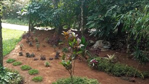 A garden with various plants and trees, a dirt path, and a grassy area.