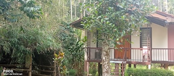 Family Villa is a hut Style Accommodation