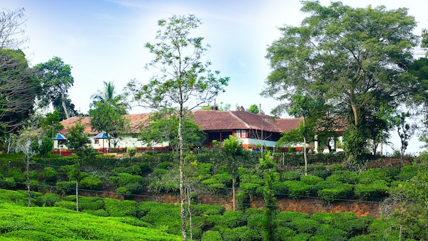 A traditional house with a tiled roof, surrounded by lush greenery and a tea plantation.