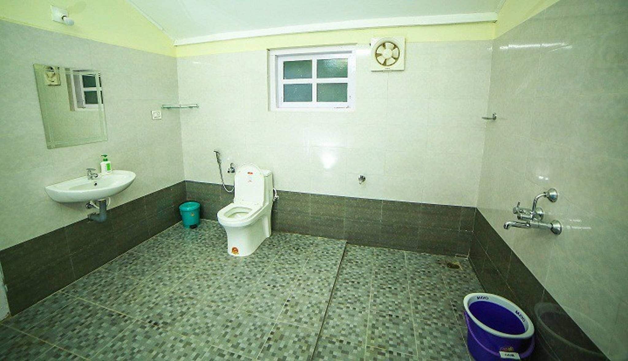 Máy sấy tóc, dầu gội 