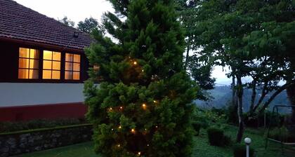 Bungalow With Tea Garden View
