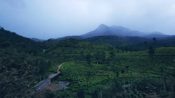 Pemandangan dari udara