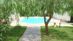 Apartamento, 1 quarto, sacada, vista para o jardim | Jardim